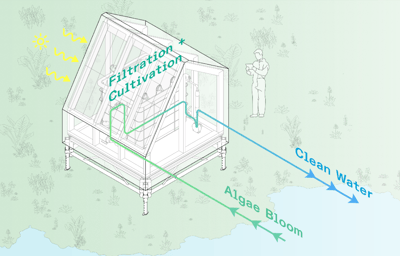 Biocene algo solution