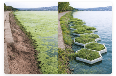 FloteXa Solution